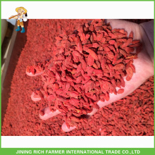 Organic and Conventional Dried Goji Berry Offer From Alibaba Golden Supplier